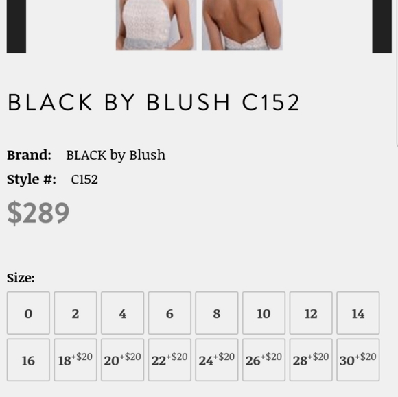 Beaded Lace Halter Open Back Dress. Formal. Size 2 - Picture 8 of 8